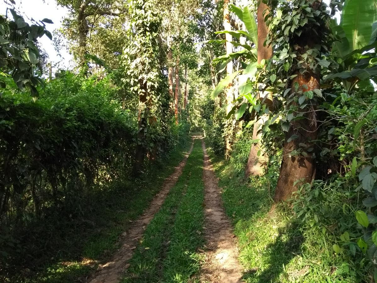 Coorg 4 C'S Little Paradise Madikeri Buitenkant foto